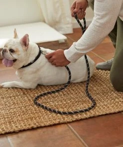 Frisco Reflective Rope Dog Leash -Frisco Sales 2024 221214 PT4. SY630 V1602862582