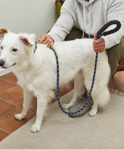 Frisco Rope Dog Leash with Padded Handle -Frisco Sales 2024 221216 PT4. SY630 V1602862576