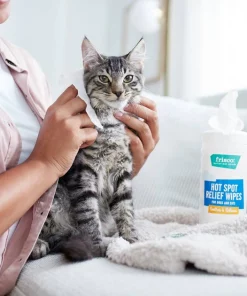 Frisco Hot Spot Relief Waterless Grooming Wipes with Colloidal Oatmeal for Dogs & Cats, 100 count -Frisco Sales 2024 222163 PT2. SY630 V1602831392