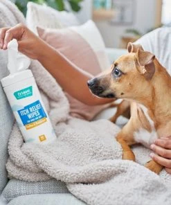 Frisco Itch Relief Waterless Grooming Wipes for Dogs & Cats, 50 count -Frisco Sales 2024 222165 PT1. SY630 V1602839795