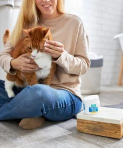 Frisco Tear Stain Eye Wipes for Puppies & Kittens, 45 count -Frisco Sales 2024 222171 PT2. SY630 V1602846989