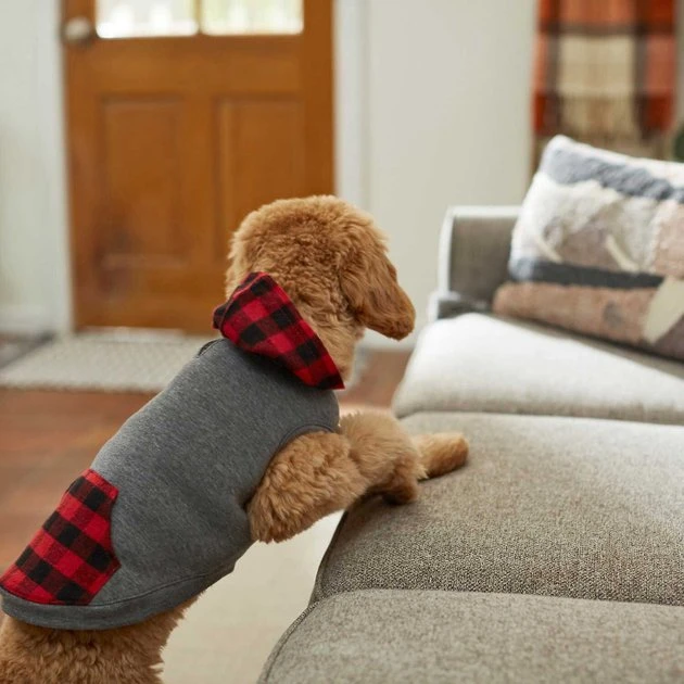 Frisco Plaid Dog & Cat Hoodie 10 Frisco Plaid Dog & Cat Hoodie - Image 8