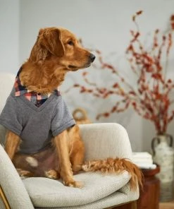 Frisco Plaid Dog & Cat Sweatshirt -Frisco Sales 2024 223685 PT7. SY630 V1599921732