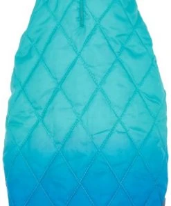 Frisco Packable Lightweight Gradient Insulated Dog & Cat Jacket -Frisco Sales 2024 223909 PT3. SY630 V1599571287