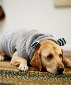 Frisco Plush Hooded Insulated Dog & Cat Coat -Frisco Sales 2024 223969 PT7. SY630 V1601579213