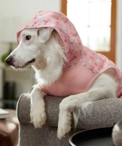 Frisco Floral Dog & Cat Hoodie -Frisco Sales 2024 224217 PT6. SY630 V1637651830