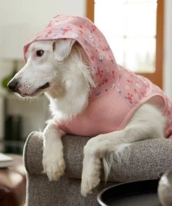 Frisco Floral Dog & Cat Hoodie -Frisco Sales 2024 224217 PT8. SY630 V1607568448