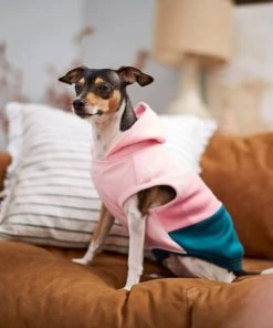 Frisco Colorblock Dog & Cat Sleeveless Hoodie -Frisco Sales 2024 224258 PT7. SY630 V1599924135