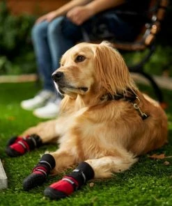 Frisco Anti-Slip Extended Cuff Length Dog Boots -Frisco Sales 2024 224374 PT7. SY630 V1601577663