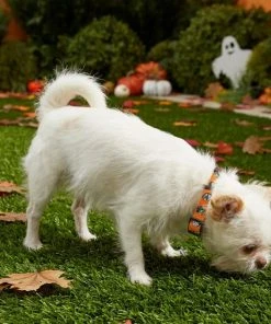 Frisco Monster Bash Polyester Dog Collar 9 Frisco Monster Bash Polyester Dog Collar -Frisco Sales 2024 226904 PT4. SY630 V1597685492