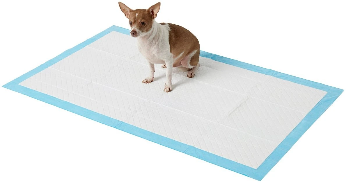 Frisco Giant Non-Skid Ultra Premium Dog Training & Potty Pads, 27.5 x 44-in 4 Frisco Giant Non-Skid Ultra Premium Dog Training & Potty Pads, 27.5 x 44-in - Image 2