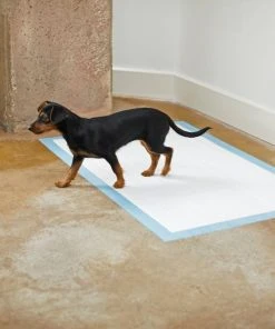 Frisco Giant Non-Skid Ultra Premium Dog Training & Potty Pads, 27.5 x 44-in 11 Frisco Giant Non-Skid Ultra Premium Dog Training & Potty Pads, 27.5 x 44-in -Frisco Sales 2024 227453 PT6. SY630 V1604701908