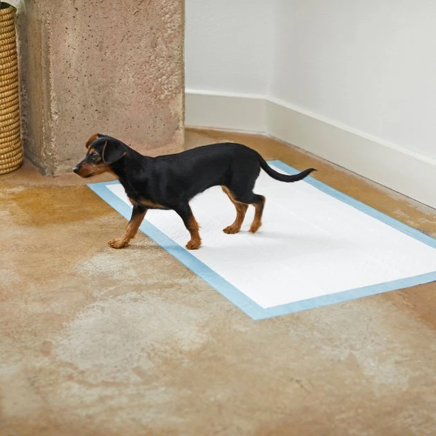 Frisco Giant Non-Skid Ultra Premium Dog Training & Potty Pads, 27.5 x 44-in 7 Frisco Giant Non-Skid Ultra Premium Dog Training & Potty Pads, 27.5 x 44-in - Image 5