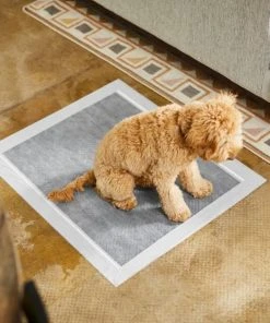 Frisco Extra Large Charcoal Dog Training & Potty Pads, 28 x 34-in, Unscented -Frisco Sales 2024 227459 PT6. SY630 V1604701315