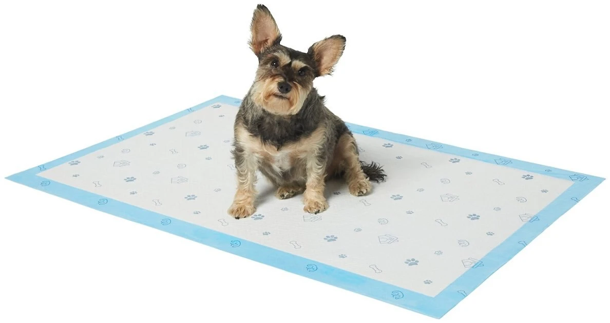 Frisco Giant Printed Dog Training & Potty Pads, 27.5 x 44-in, Unscented 4 Frisco Giant Printed Dog Training & Potty Pads, 27.5 x 44-in, Unscented - Image 2