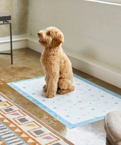 Frisco Giant Printed Dog Training & Potty Pads, 27.5 x 44-in, Unscented 11 Frisco Giant Printed Dog Training & Potty Pads, 27.5 x 44-in, Unscented -Frisco Sales 2024 227471 PT6. SY630 V1604701622