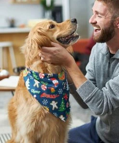 Frisco Holiday & New Years Dog & Cat Bandana, 2 pack -Frisco Sales 2024 228983 PT6. SY630 V1637659015