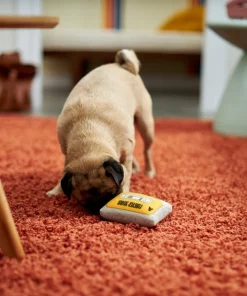 Frisco Retro Cassette Dense Foam Squeaky Dog Toy -Frisco Sales 2024 230296 PT3. SY630 V1601946962