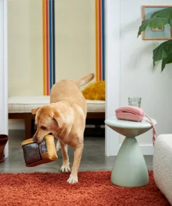 Frisco Retro Television Ballistic Nylon Plush Squeaky Dog Toy -Frisco Sales 2024 230308 PT3. SY630 V1601947325