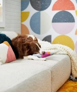 Frisco Retro Lava Lamp Ballistic Nylon Plush Squeaky Dog Toy 7 Frisco Retro Lava Lamp Ballistic Nylon Plush Squeaky Dog Toy -Frisco Sales 2024 230310 PT3. SY630 V1601947330