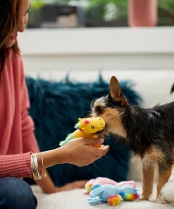 Frisco Retro Colorful Pony Plush Squeaky Dog Toy 7 Frisco Retro Colorful Pony Plush Squeaky Dog Toy -Frisco Sales 2024 230357 PT3. SY630 V1601947361