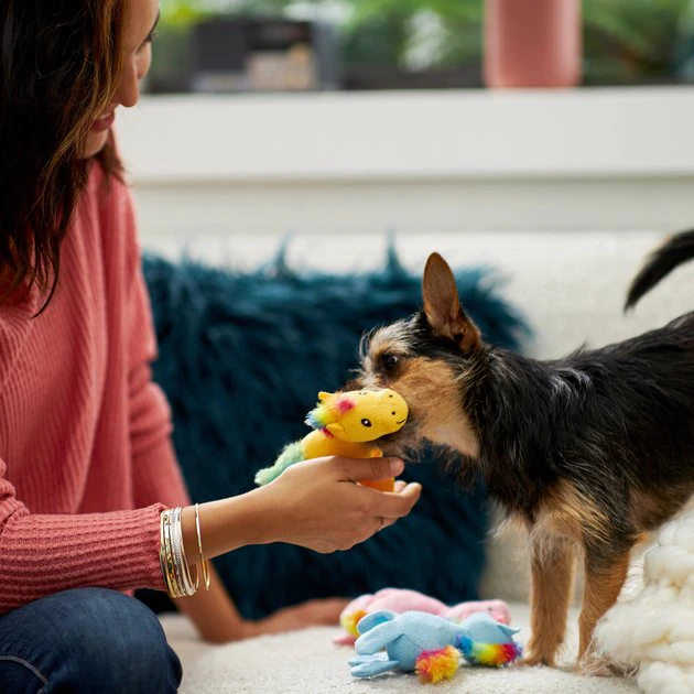 Frisco Retro Colorful Pony Plush Squeaky Dog Toy 5 Frisco Retro Colorful Pony Plush Squeaky Dog Toy - Image 3