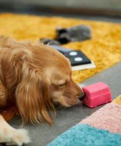 Frisco Retro Funky Van TPE Treat Dispenser Dog Toy -Frisco Sales 2024 230382 PT3. SY630 V1602639677