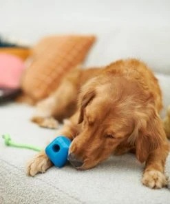 Frisco Retro PC Mouse Rubber Tug & Fetch Dog Toy 7 Frisco Retro PC Mouse Rubber Tug & Fetch Dog Toy -Frisco Sales 2024 230385 PT3. SY630 V1606953426