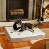Frisco Orthopedic Pillow Cat & Dog Bed -Frisco Sales 2024 230709 MAIN. SY630 V1602689222