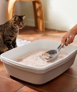 Frisco Natural Lightly Scented Clumping Grass Cat Litter -Frisco Sales 2024 230714 PT4. SY630 V1659023184