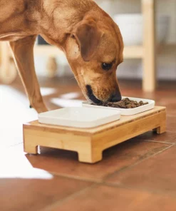 Frisco Square Melamine Dog & Cat Bowl Set with Bamboo Stand -Frisco Sales 2024 232076 PT8. SY630 V1605757015