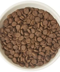 Frisco Double-Sided Ceramic Elevated Cat Bowl, 1.25 cups 11 Frisco Double-Sided Ceramic Elevated Cat Bowl, 1.25 cups -Frisco Sales 2024 232081 PT3. SY630 V1605145964