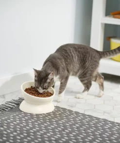 Frisco Double-Sided Ceramic Elevated Cat Bowl, 1.25 cups 13 Frisco Double-Sided Ceramic Elevated Cat Bowl, 1.25 cups -Frisco Sales 2024 232081 PT8. SY630 V1605756749