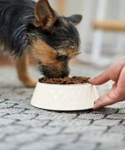 Frisco Hammered Melamine Stainless Steel Dog Bowl -Frisco Sales 2024 232083 PT8. SY630 V1605753745