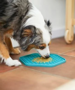 Frisco Silicone Treat Lick Mat, 2 Count -Frisco Sales 2024 232099 PT7. SY630 V1605739324