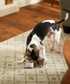 Frisco Ballot Box Hide-and-Seek Puzzle Dog Toy Refill, 3 count 7 Frisco Ballot Box Hide-and-Seek Puzzle Dog Toy Refill, 3 count -Frisco Sales 2024 233571 PT3. SY630 V1600973757