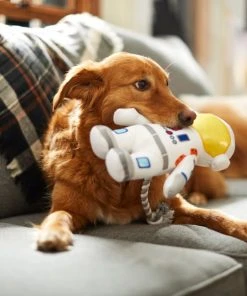 Frisco Ballistic Nylon Plush with Rope Squeaky Astronaut Dog Toy 7 Frisco Ballistic Nylon Plush with Rope Squeaky Astronaut Dog Toy -Frisco Sales 2024 233585 PT3. SY630 V1600973761