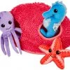 Frisco Hide & Seek Plush Coral Puzzle Dog Toy -Frisco Sales 2024 233595 MAIN. SY630 V1599759972