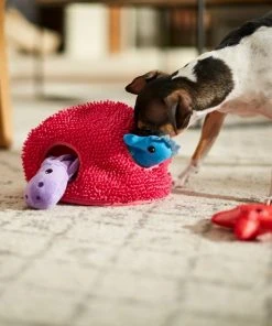 Frisco Hide & Seek Plush Coral Puzzle Dog Toy 9 Frisco Hide & Seek Plush Coral Puzzle Dog Toy -Frisco Sales 2024 233595 PT3. SY630 V1600973820