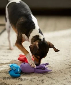 Frisco Hide & Seek Plush Coral Puzzle Dog Toy Refill, 3 count -Frisco Sales 2024 233597 PT3. SY630 V1600973853