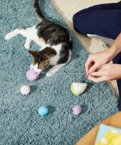 Frisco Birthday Bundle Cat Toy with Catnip, 5 count -Frisco Sales 2024 233599 PT2. SY630 V1600974070