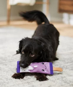 Frisco Popsicle Firehose Squeaky Dog Toy -Frisco Sales 2024 233607 PT3. SY630 V1600974055