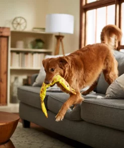 Frisco Giraffe Firehose Squeaky Dog Toy -Frisco Sales 2024 233611 PT3. SY630 V1600974060