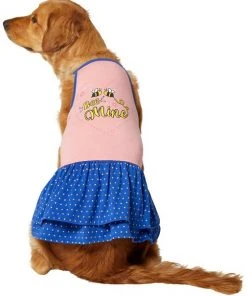 Frisco Bee Mine Dog & Cat Dress