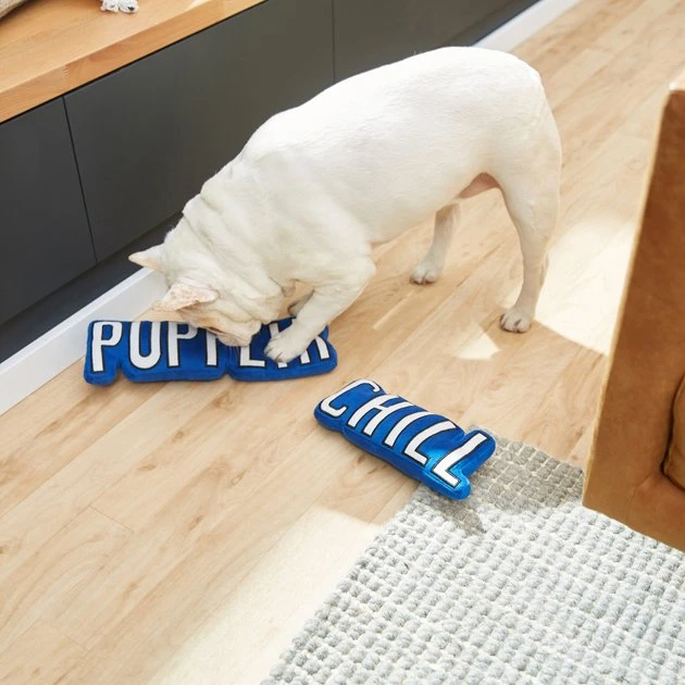 Frisco Zoomies & Chill Pupflix & Chill Plush Squeaky Dog Toy, 2 count 5 Frisco Zoomies & Chill Pupflix & Chill Plush Squeaky Dog Toy, 2 count - Image 3