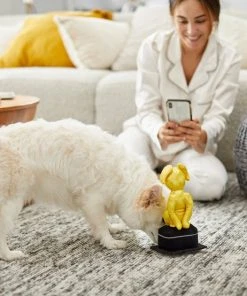 Frisco Zoomies & Chill Award Plush Squeaky Dog Toy -Frisco Sales 2024 241705 PT6. SY630 V1610768309