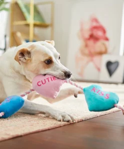 Frisco Candy Hearts Plush with Rope Squeaky Dog Toy -Frisco Sales 2024 241725 PT6. SY630 V1607989337