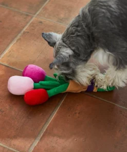 Frisco Rose Bouquet Plush Squeaky Dog Toy -Frisco Sales 2024 241733 PT6. SY630 V1607990908