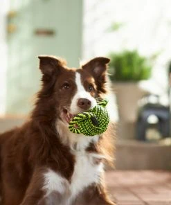 Frisco Dual Handle Neon Ball Squeaky Dog Toy, Yellow & Gray -Frisco Sales 2024 242131 PT2. SY630 V1605208693