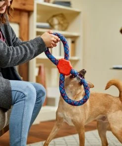 Frisco Figure 8 Rope Dog Toy, Blue & Red -Frisco Sales 2024 242135 PT2. SY630 V1605208635